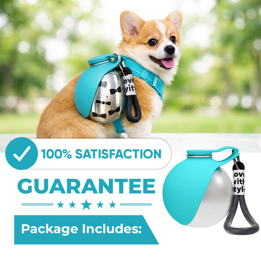 🐕 50% OFF NOW! 💧 2-in-1 Portable Dog Water Bottle – Leak-proof. compact & travel-friendly – Keep your small dog hydrated on walks 🐾
