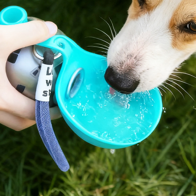 🐕 50% OFF NOW! 💧 2-in-1 Portable Dog Water Bottle – Leak-proof. compact & travel-friendly – Keep your small dog hydrated on walks 🐾